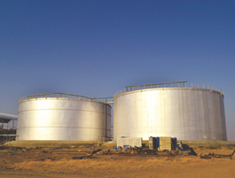 Hoelecoindia