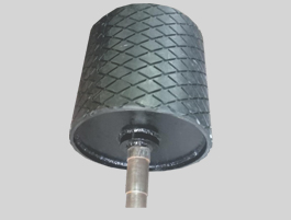 Hoelecoindia
