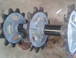 Hoelecoindia