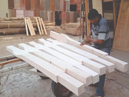 Hoelecoindia