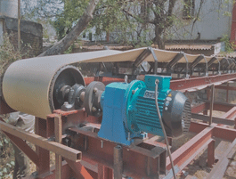 Hoelecoindia